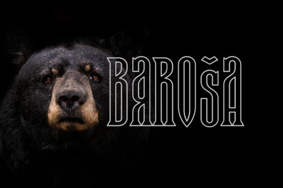 Baroša: Elevating Your Designs with Dynamic 3D Typography